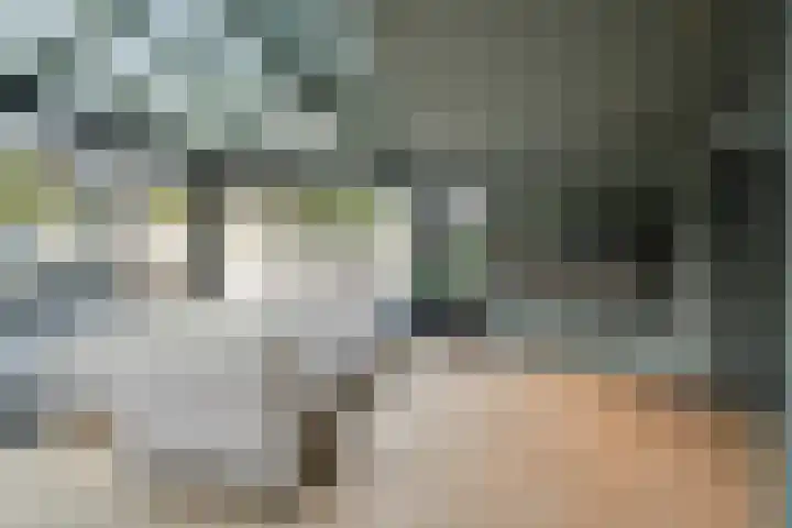 Joinerstraat 27 Linne thumbnail 27