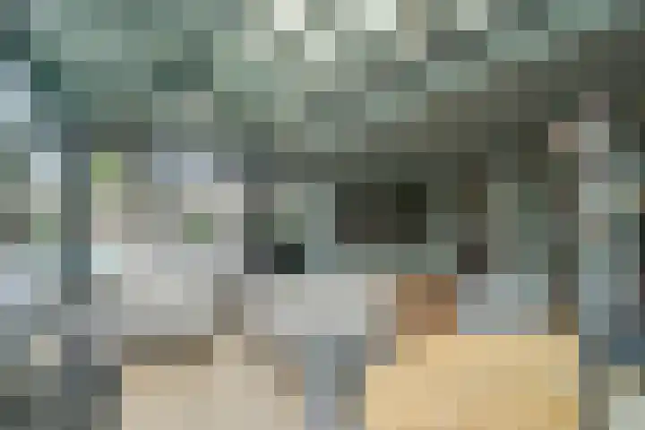 Joinerstraat 27 Linne thumbnail 28