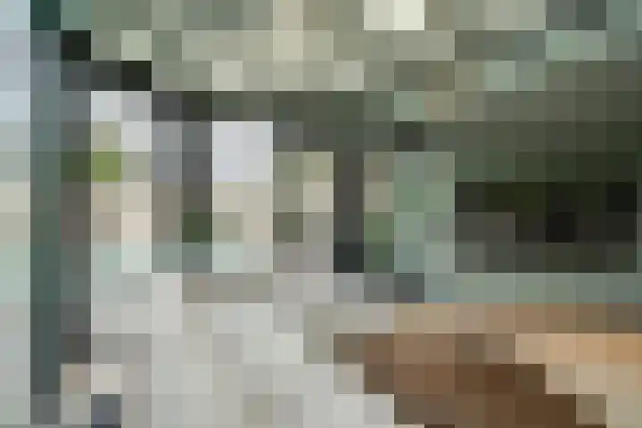 Joinerstraat 27 Linne thumbnail 29