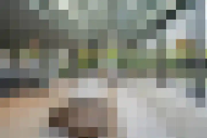 Joinerstraat 27 Linne thumbnail 30