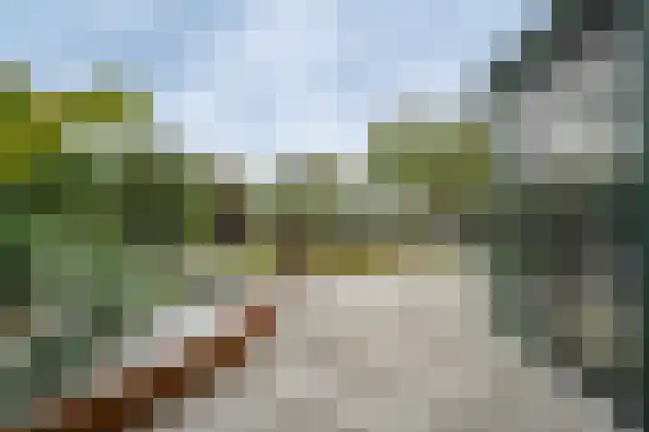 Joinerstraat 27 Linne thumbnail 32