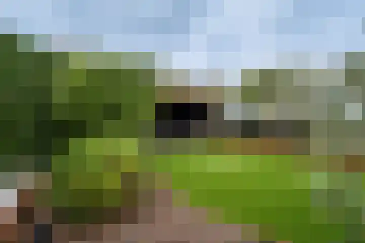 Joinerstraat 27 Linne thumbnail 33