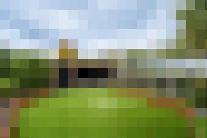 Joinerstraat 27 Linne thumbnail 34