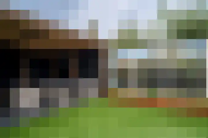 Joinerstraat 27 Linne thumbnail 35