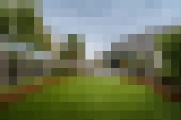 Joinerstraat 27 Linne thumbnail 36