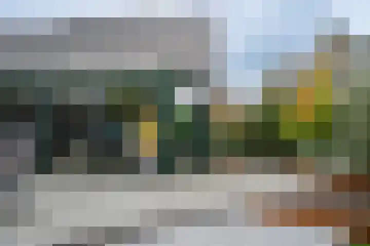 Joinerstraat 27 Linne thumbnail 39