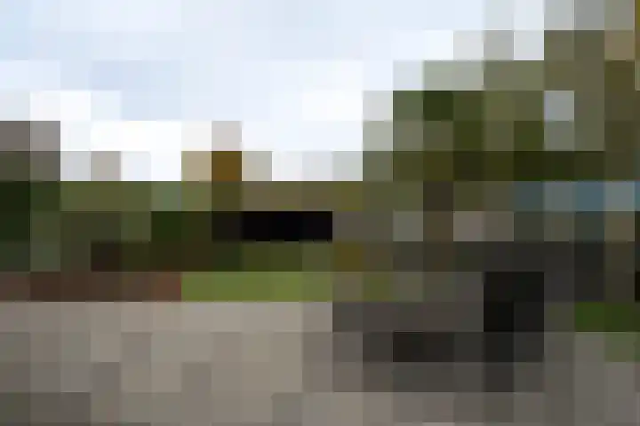 Joinerstraat 27 Linne thumbnail 43