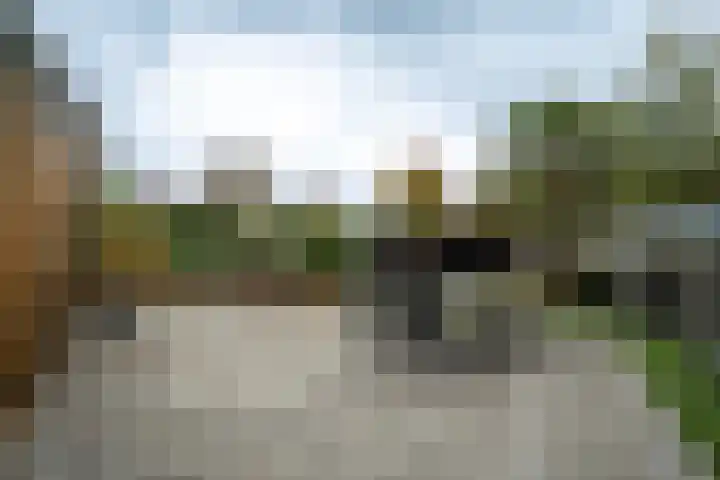 Joinerstraat 27 Linne thumbnail 55