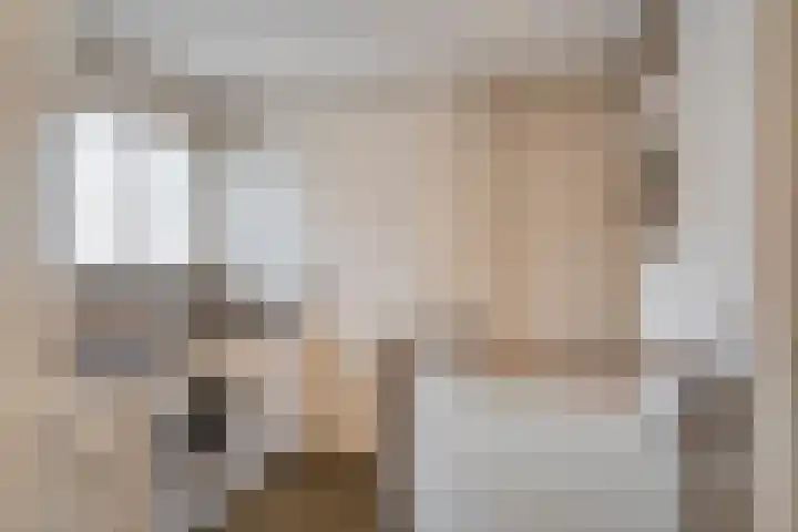 Joinerstraat 27 Linne thumbnail 56