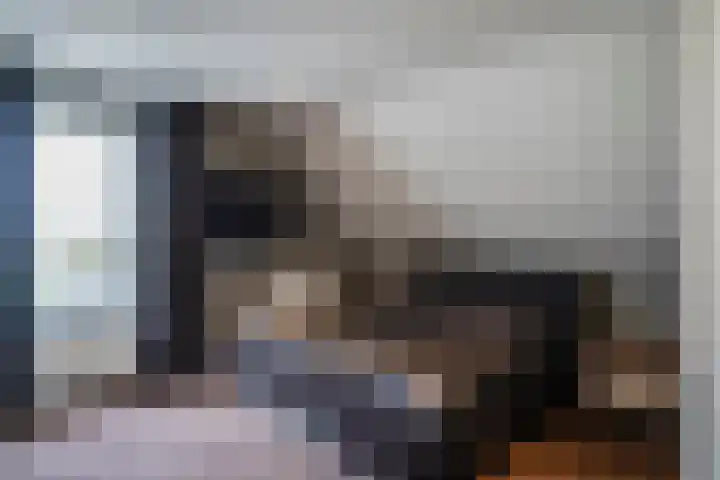 Joinerstraat 27 Linne thumbnail 62