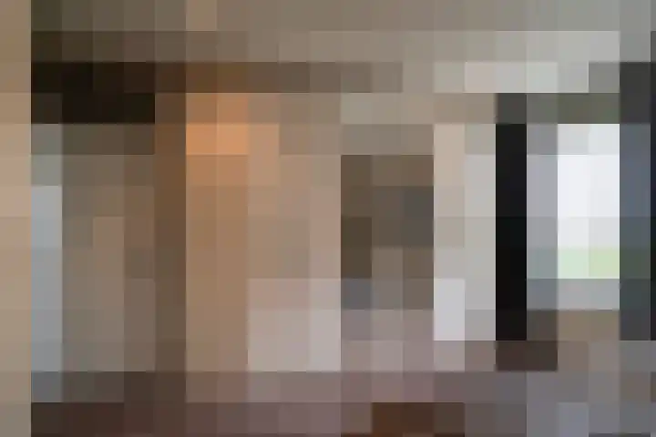 Joinerstraat 27 Linne thumbnail 63