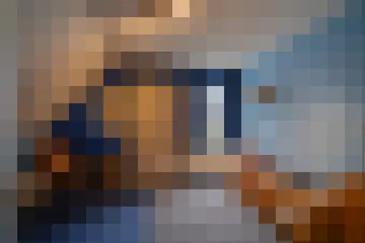 Joinerstraat 27 Linne thumbnail 64