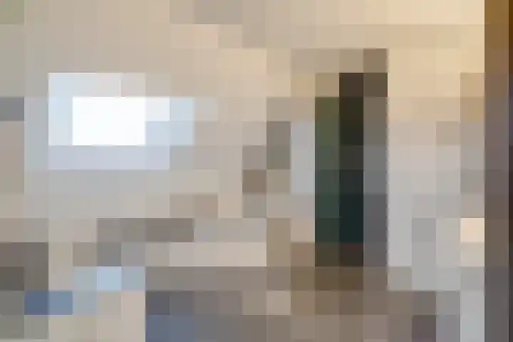 Joinerstraat 27 Linne thumbnail 65