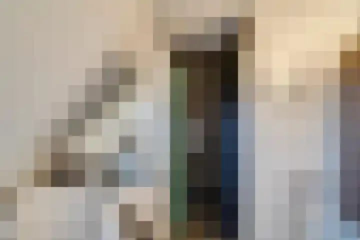 Joinerstraat 27 Linne thumbnail 66