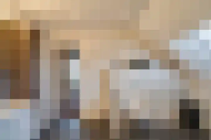 Joinerstraat 27 Linne thumbnail 68