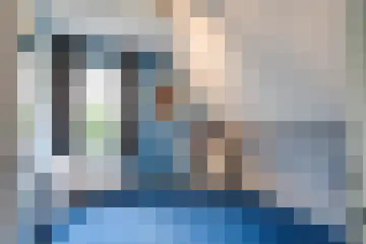 Joinerstraat 27 Linne thumbnail 69