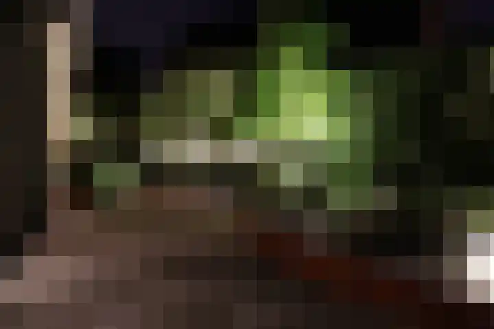 Joinerstraat 27 Linne thumbnail 76
