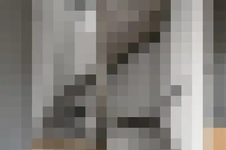 Joke Smitsingel 9 Assendelft thumbnail 20