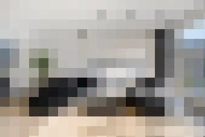 Joke Smitstraat 17 Pijnacker thumbnail 11