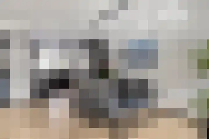 Joke Smitstraat 17 Pijnacker thumbnail 12