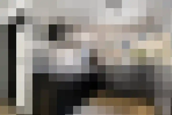 Joke Smitstraat 17 Pijnacker thumbnail 15