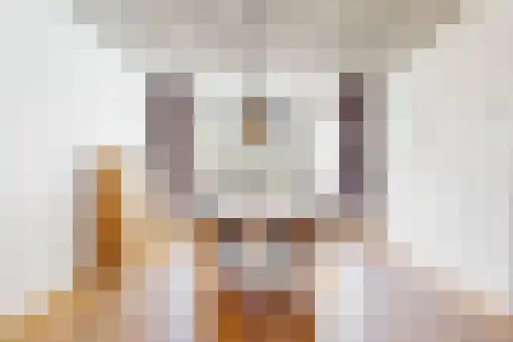 Joke Smitstraat 17 Pijnacker thumbnail 25