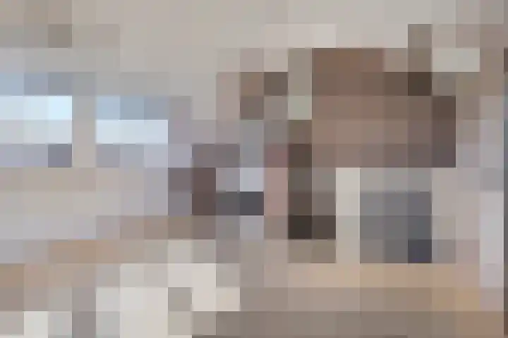 Joke Smitstraat 17 Pijnacker thumbnail 25