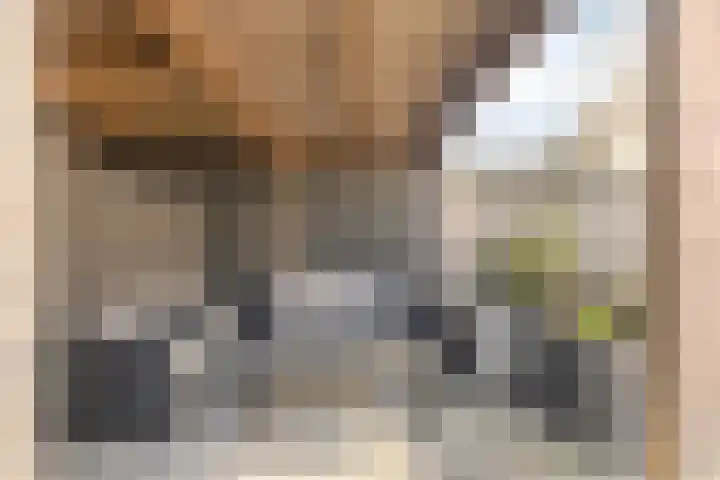 Joke Smitstraat 17 Pijnacker thumbnail 28