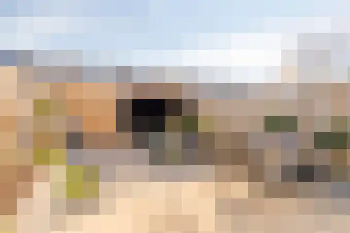 Joke Smitstraat 17 Pijnacker thumbnail 5