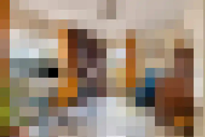 Jol 10 10 47 Lelystad thumbnail 10