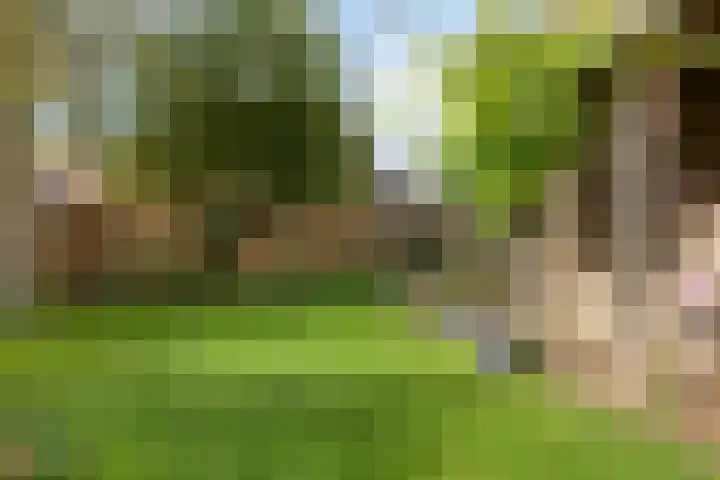 Jol 10 10 47 Lelystad thumbnail 18