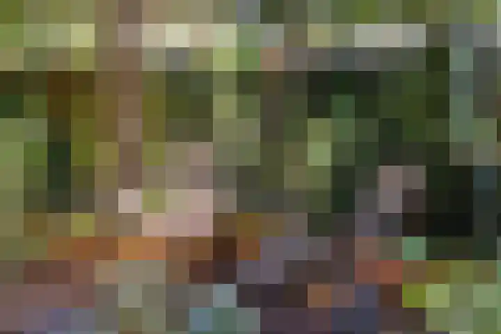 Jol 10 10 47 Lelystad thumbnail 19
