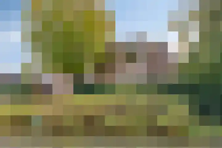 Jol 10 10 47 Lelystad thumbnail 22