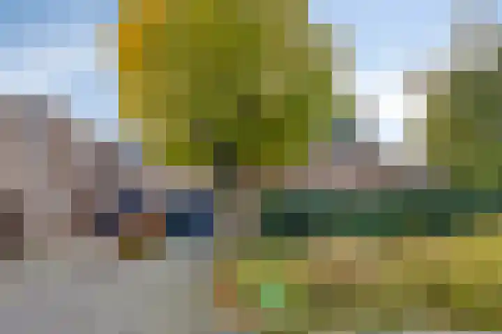 Jol 10 10 47 Lelystad thumbnail 24