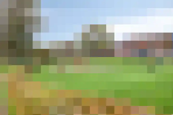 Jol 10 10 47 Lelystad thumbnail 26