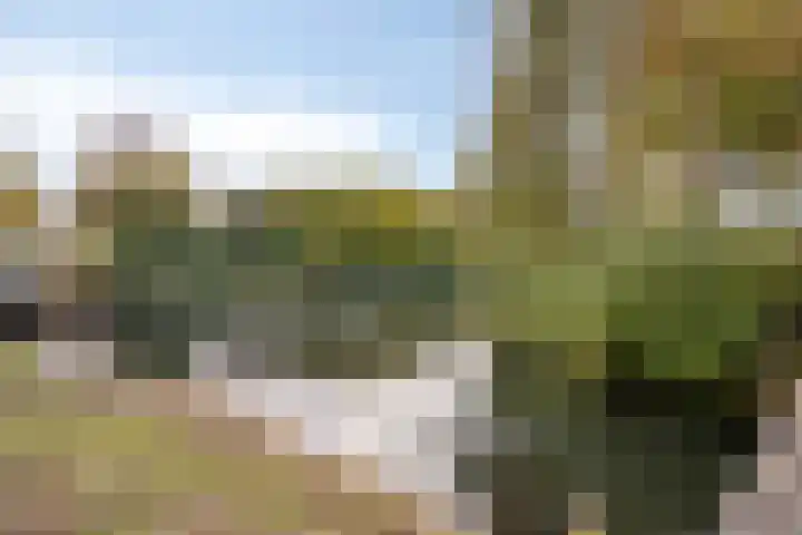 Jol 10 10 47 Lelystad thumbnail 27