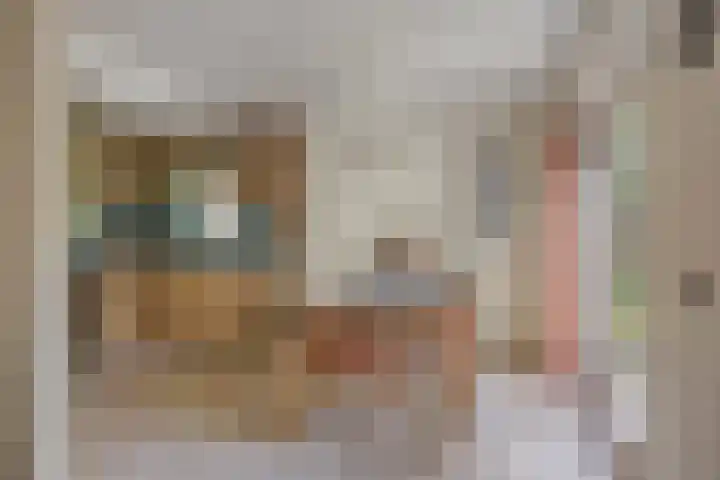 Jol 10 10 47 Lelystad thumbnail 6