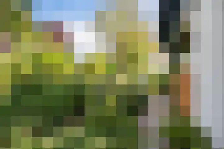 Jol 12 12 16 Lelystad thumbnail 43