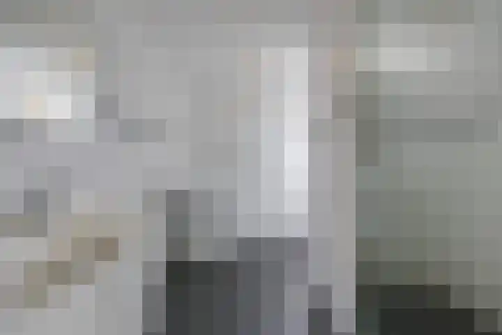 Jol 13 13 25 Lelystad thumbnail 26