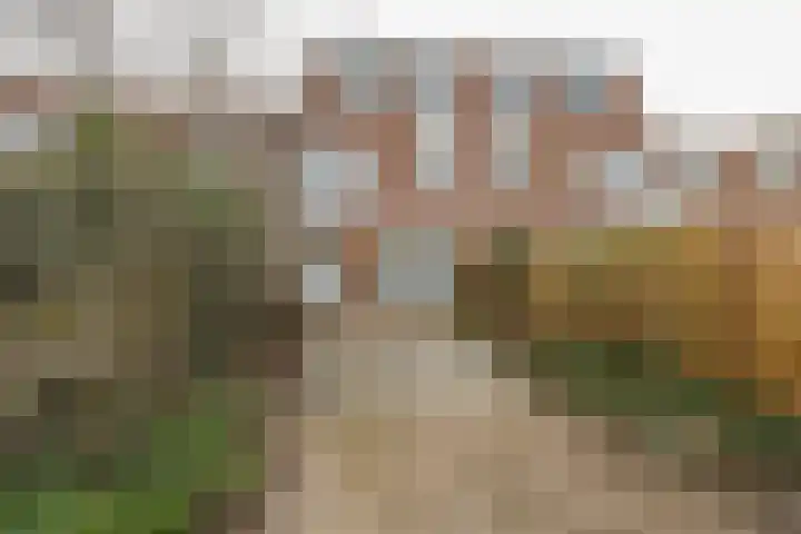 Jol 13 13 25 Lelystad thumbnail 38