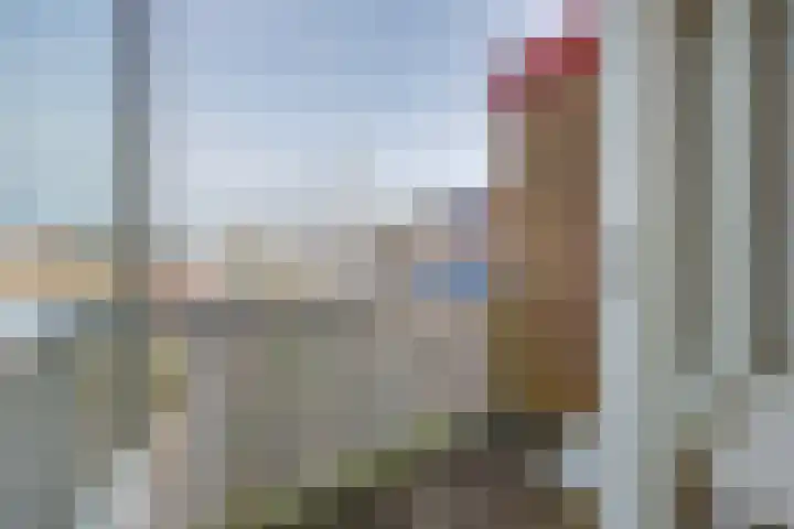 Jol 13 13 25 Lelystad thumbnail 39