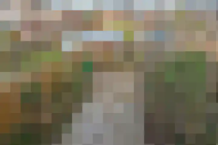 Jol 13 13 25 Lelystad thumbnail 40