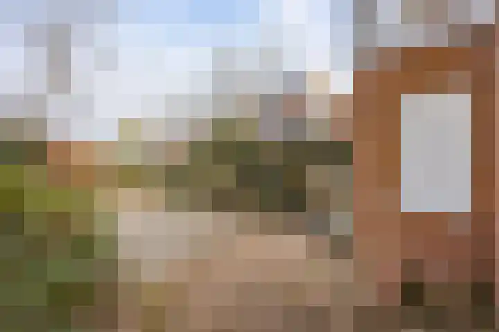 Jol 13 13 25 Lelystad thumbnail 41