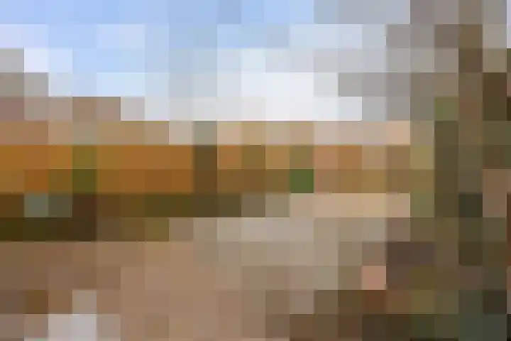 Jol 13 13 25 Lelystad thumbnail 42