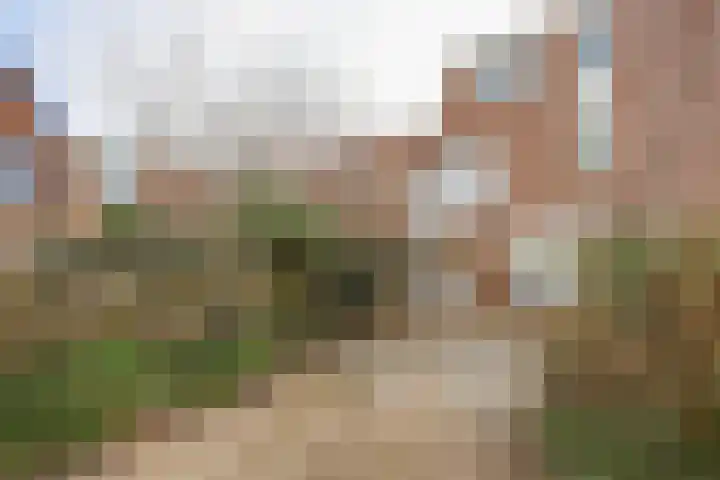 Jol 13 13 25 Lelystad thumbnail 43