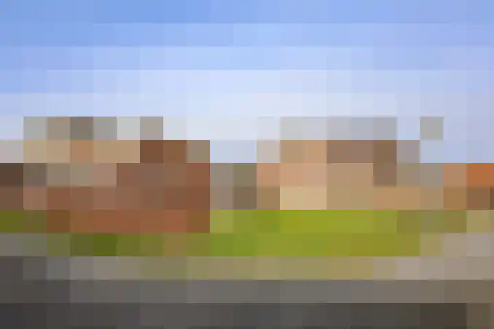Jol 13 13 25 Lelystad thumbnail 44