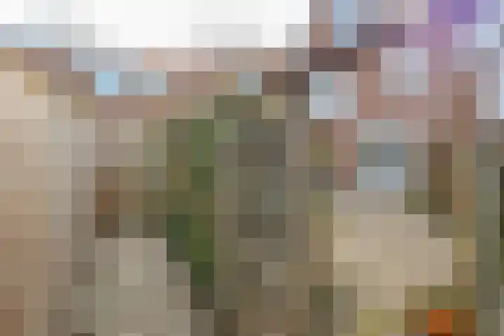 Jol 13 13 25 Lelystad thumbnail 45
