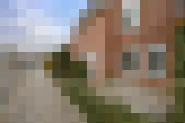 Jol 13 13 25 Lelystad thumbnail 47