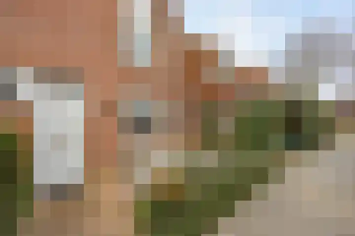 Jol 13 13 25 Lelystad thumbnail 48