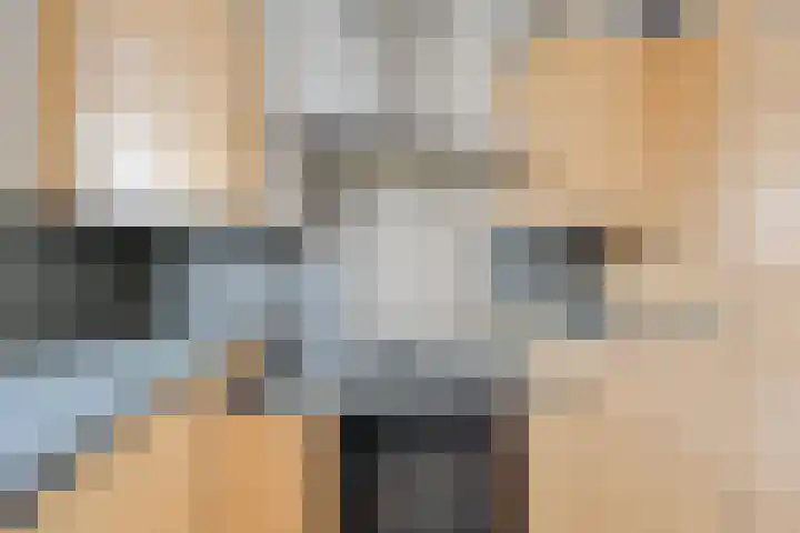 Jol 13 13 25 Lelystad thumbnail 5